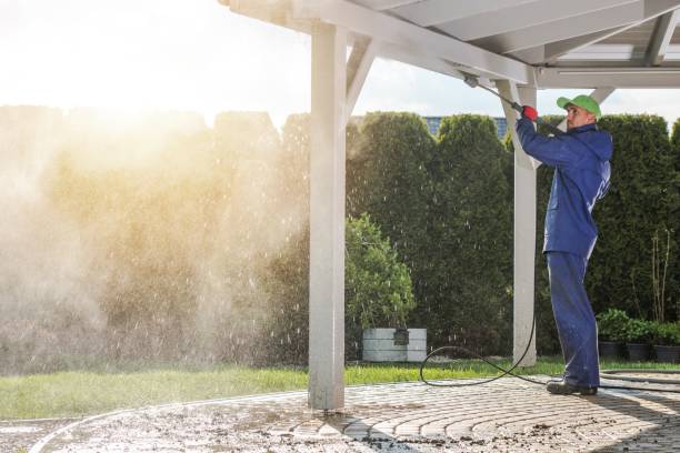 Best Sidewalk and Walkway Cleaning  in Roland, AR